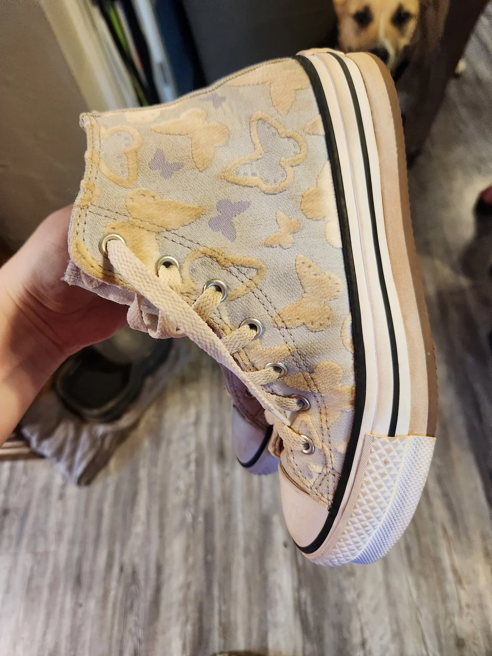 Converse High-Top Sneakers in Beige and Lavender Butterfly Print